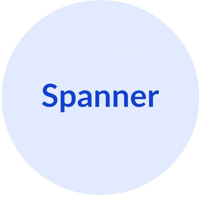 Smartdusche Zubehör Spanner